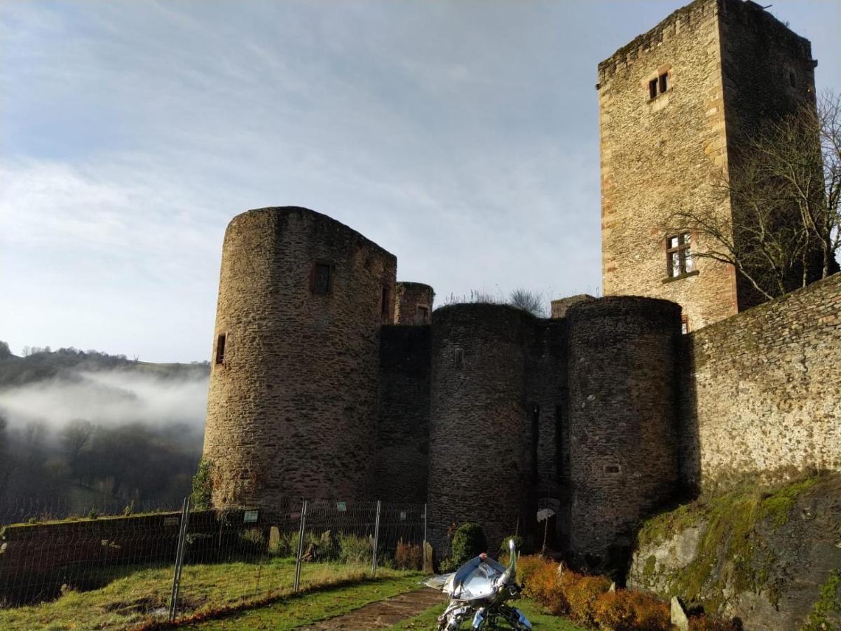 Chambre D'Hotes Au Chateau De Belcastel Belcastel  Buitenkant foto