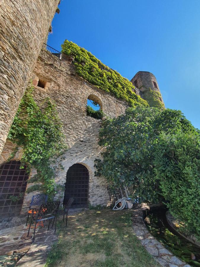 Chambre D'Hotes Au Chateau De Belcastel Belcastel  Buitenkant foto