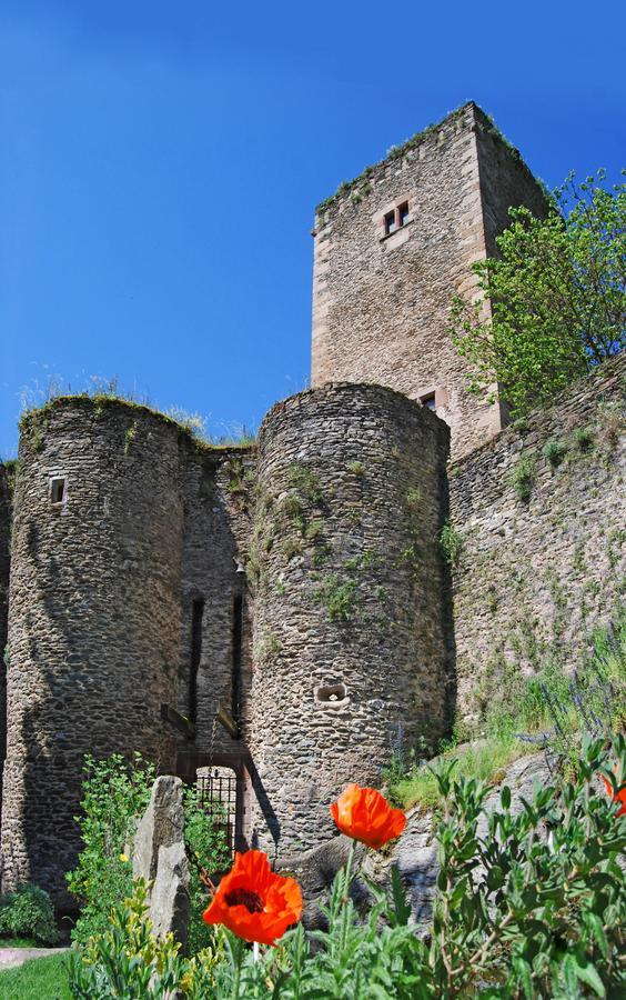 Chambre D'Hotes Au Chateau De Belcastel Belcastel  Buitenkant foto